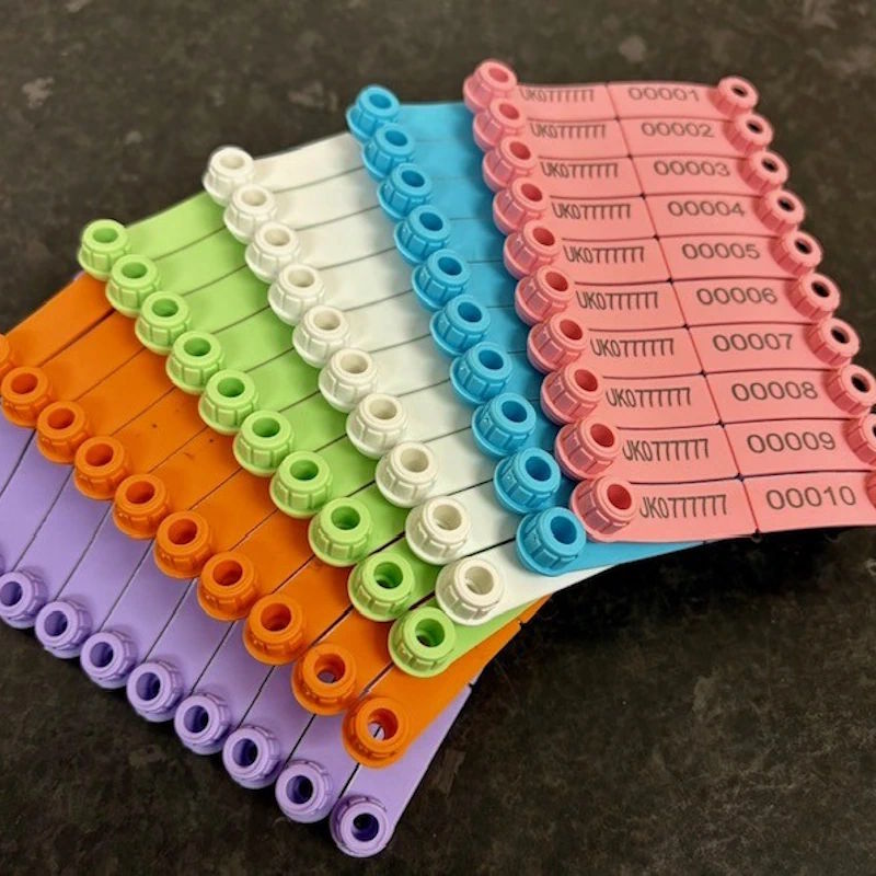 Bubblegum Sheep Tags